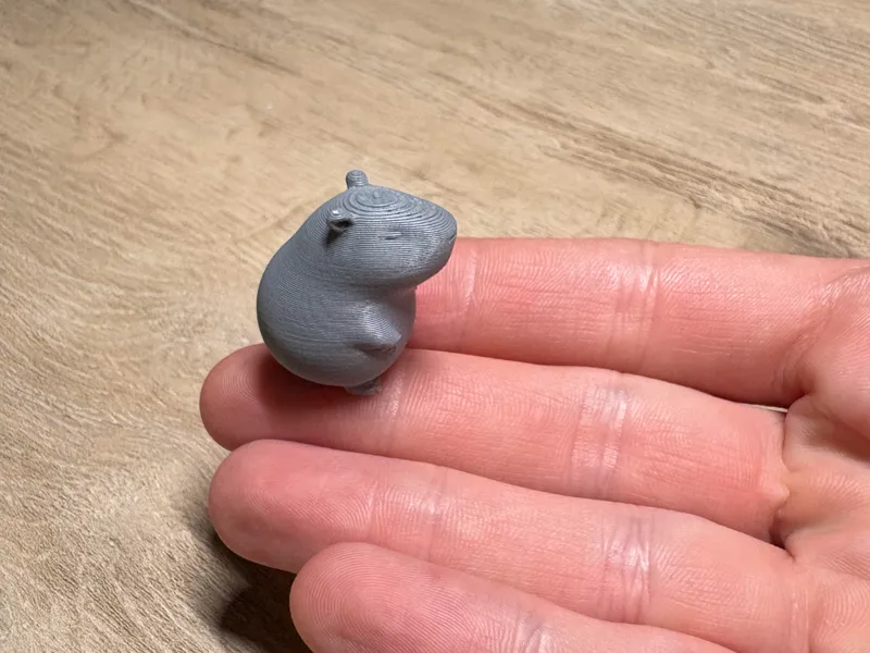 Mini Capybara Debout