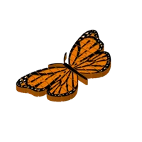 Papillon monarque articulé (remix) — photo 3