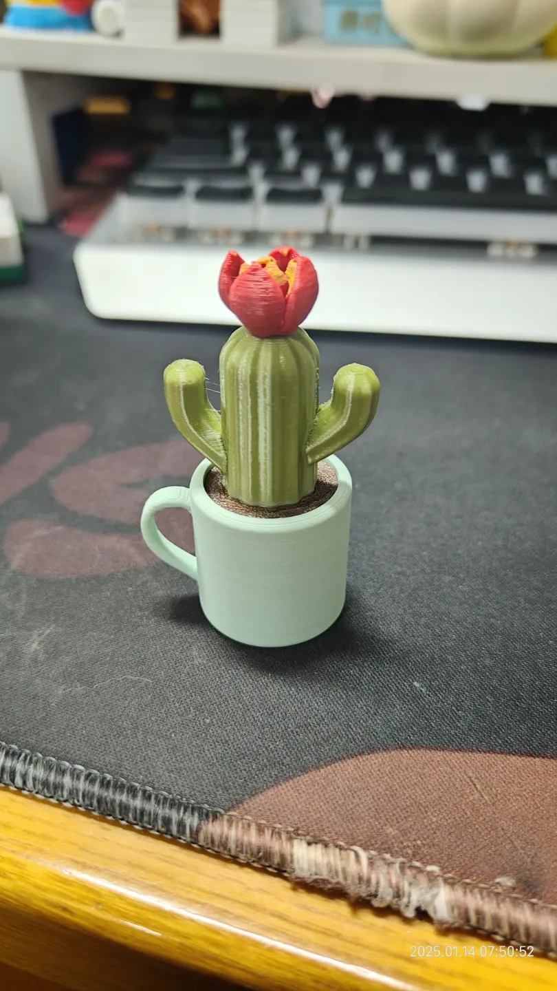 Miniatura 2 do modelo 3D 【Lucas造物】永生小盆栽系列-迷你仙人掌小盆栽