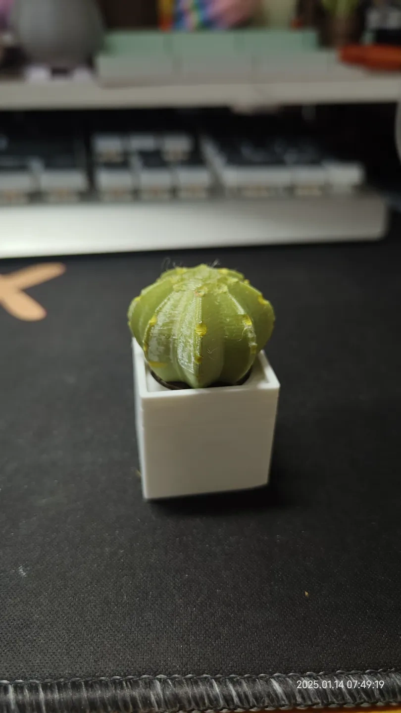 Miniatura 4 do modelo 3D 【Lucas造物】永生小盆栽系列-迷你仙人掌小盆栽