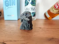 0.08mm layer, 2 walls, 10% infill