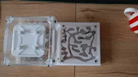 Extension de fourmilière (formicarium) — photo 3