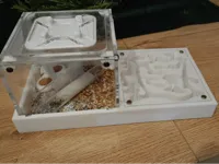 Extension de fourmilière (formicarium) — photo 2