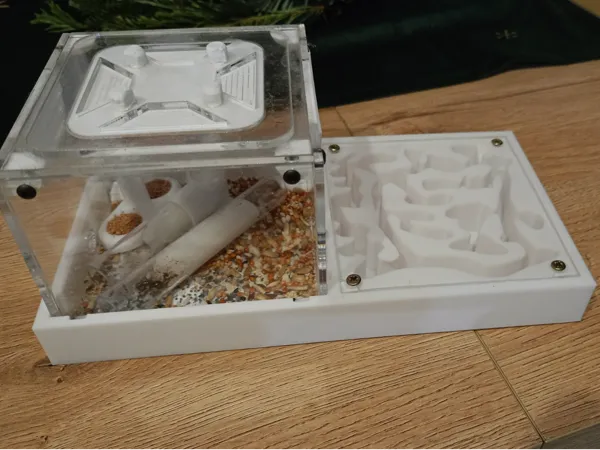 Extension de fourmilière (formicarium)