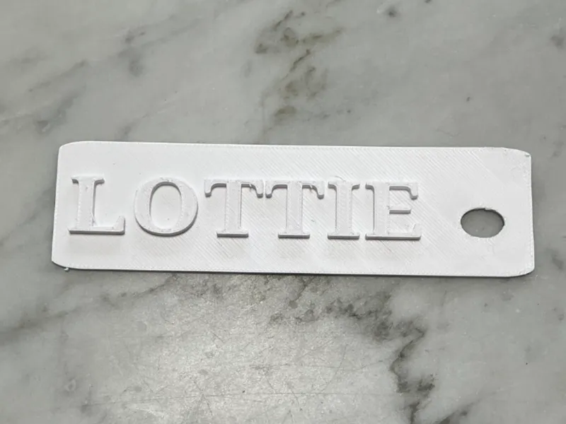 Lottie name tag