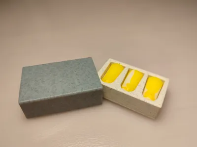 2 piece Earplug Case