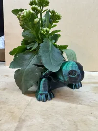 Pot de fleurs tortue — photo 4