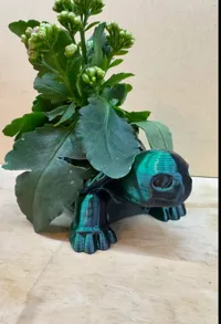 Pot de fleurs tortue — photo 6