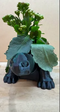 Pot de fleurs tortue — photo 7