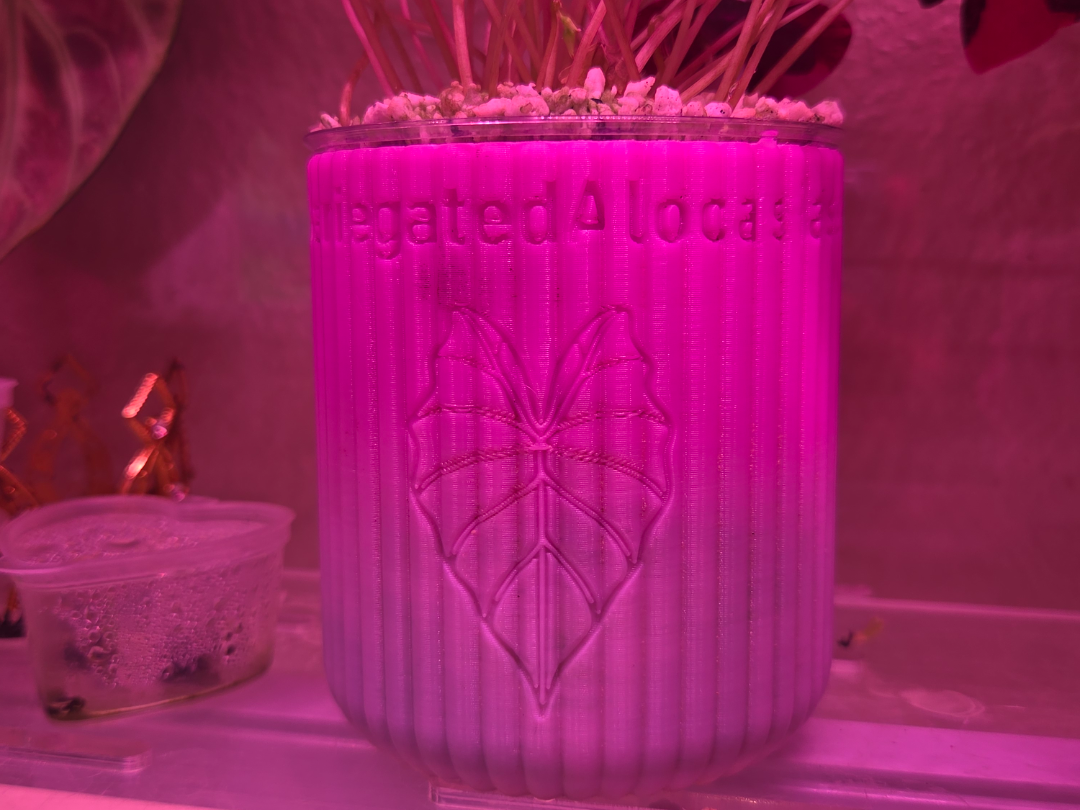 ribbed self watering pot 3D model