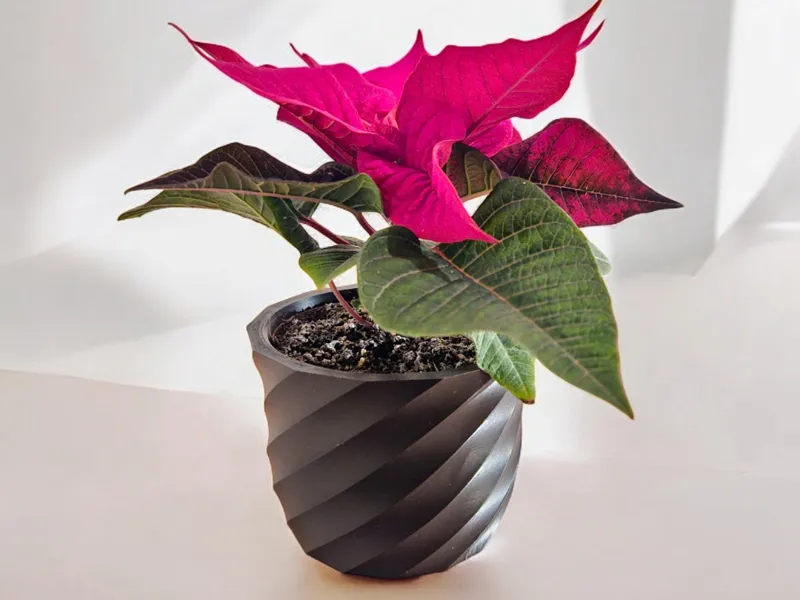 Pflanzentopf mittelgroß / plant pot medium size
