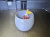 Empty Egg - w/ Pause to fill with anything
