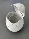 Empty Egg with Textured Exterior - w/ pause to fill it