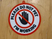 Please don't pet me I'm working keychain