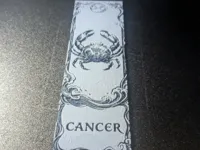 0.08mm layer, 2 walls, 100% infill