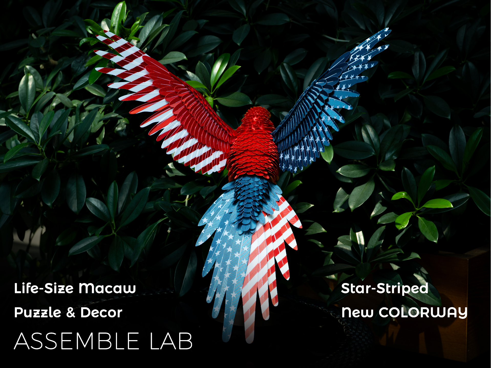 Assemble Lab: LifeSize Macaw Star-Striped Colorway