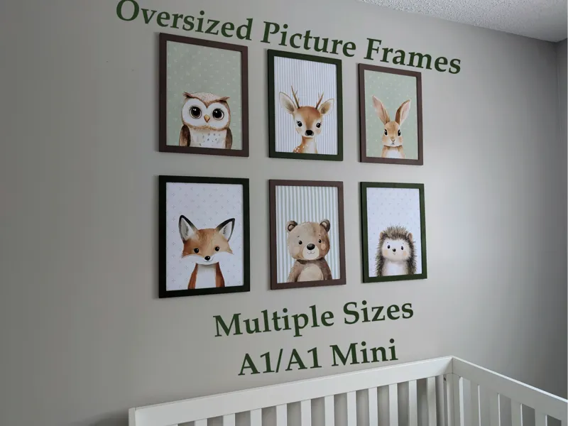 Picture Frames 16x20 12x18 12x16 11x14 8x12 8x10