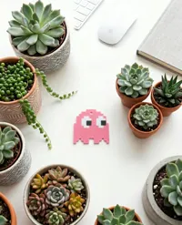 Pinky