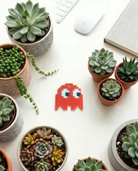 Blinky