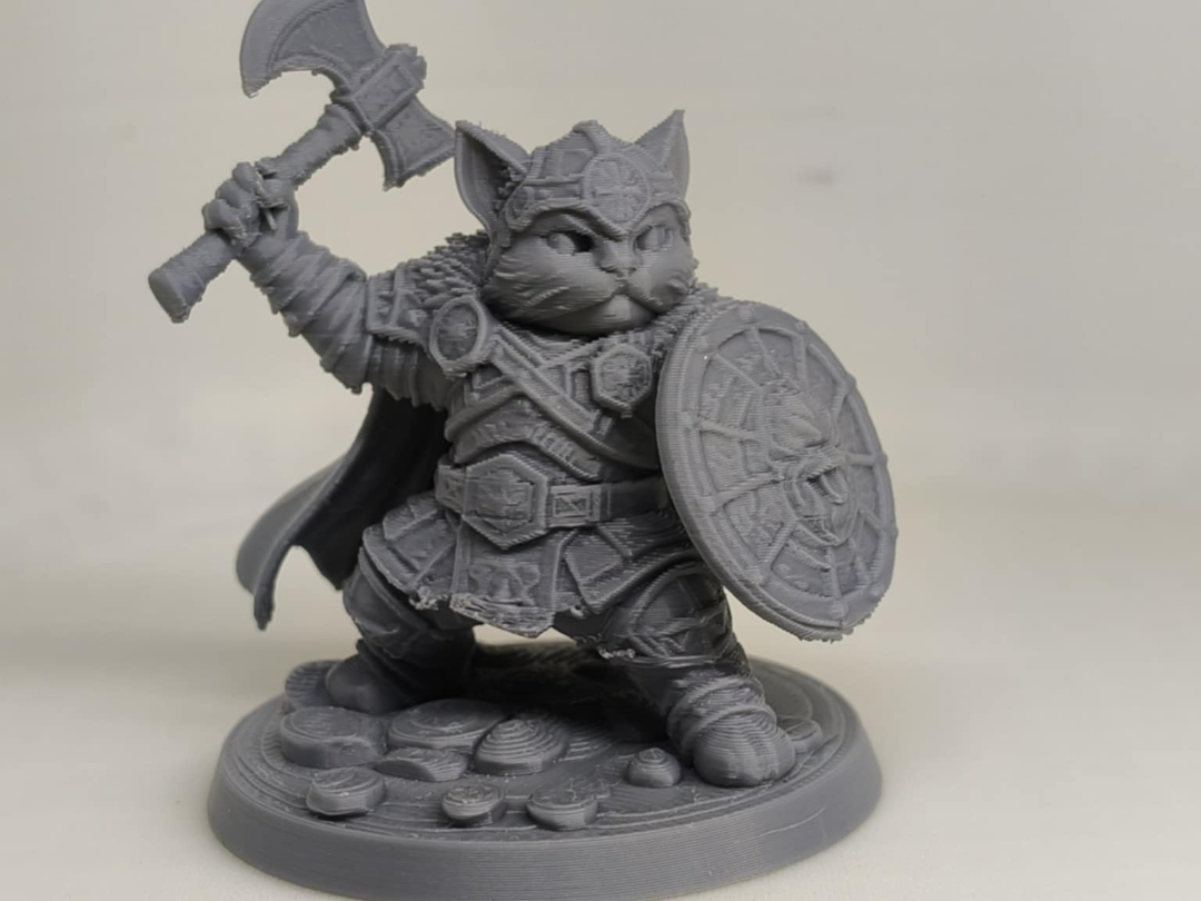 Cat Warrior Prince