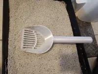 0.2mm layer, 3 walls, 40% infill