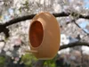 Bird Feeder Hanging