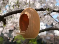 Bird Feeder Hanging