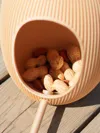 Bird Feeder Wall Mounted