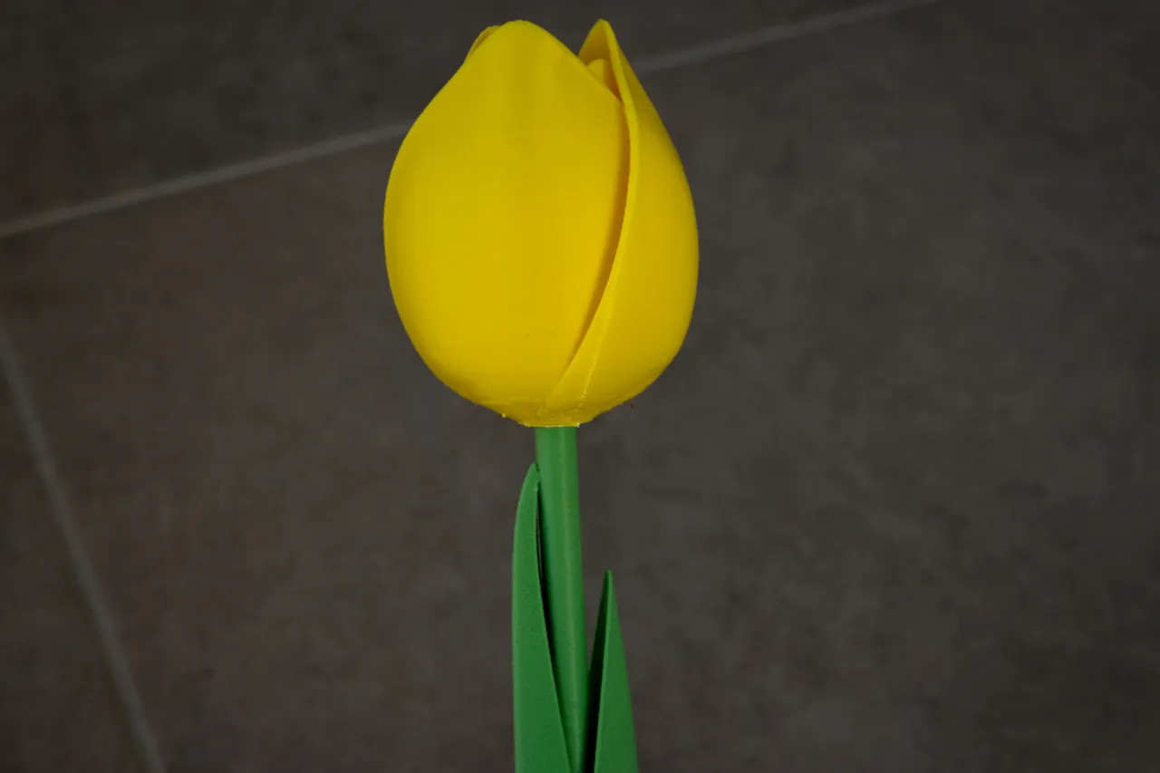 The Tulip view 4