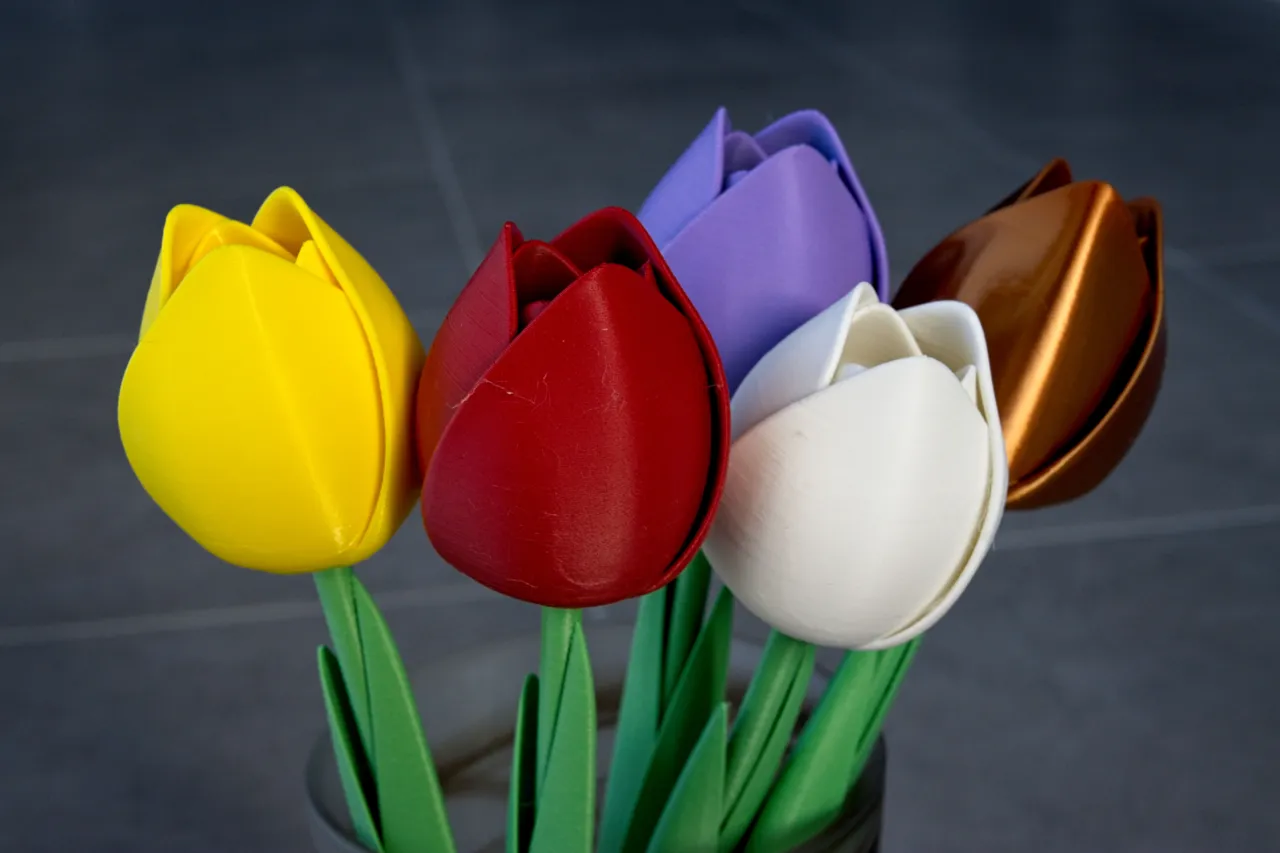 The Tulip view 2