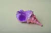 18cm