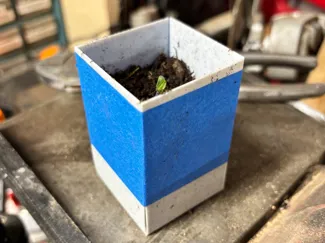 Foldable Seed Starter