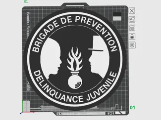 Juvenile Delinquency Prevention Brigade Emblem