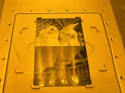 Business Card Holder