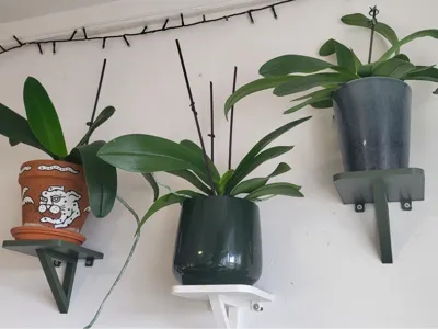 Plant shelf, Orchid wall mount