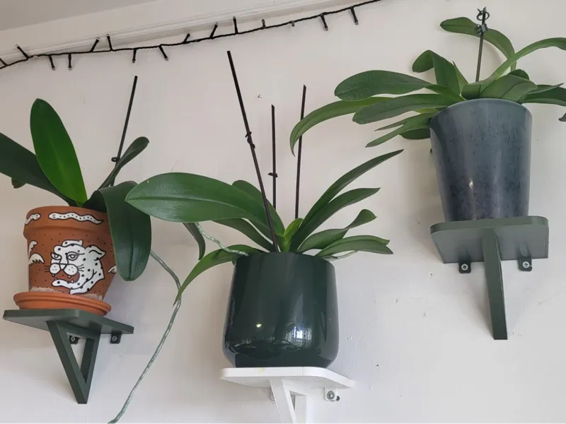 Pflanzenregal, Orchideen Wandhalterung