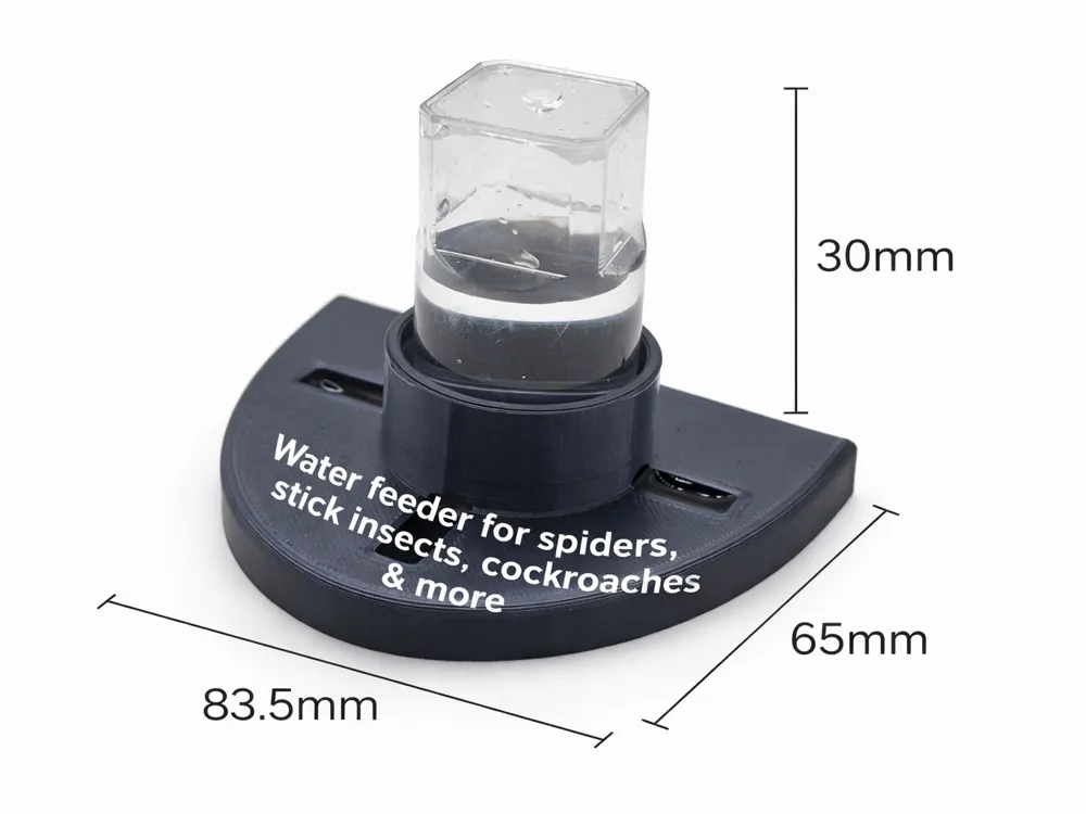 Water feeder for spiders, stick, insects & more - 免费 3D 打印模型 - MakerWorld