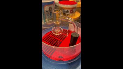 DIY Quartz ISO Pump V1 ft. Glob Mops