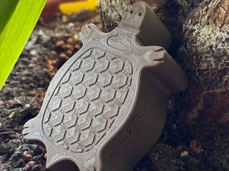 Magische Schildkröten-Box