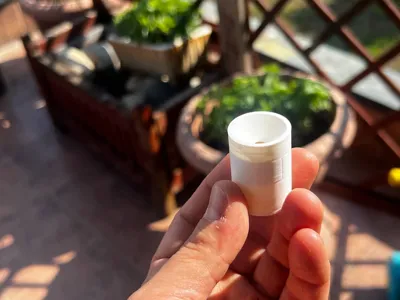 Gnat Trap for Fruit and Plants
