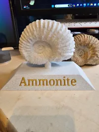 Fossile scanné en 3D (ammonite) — photo 2