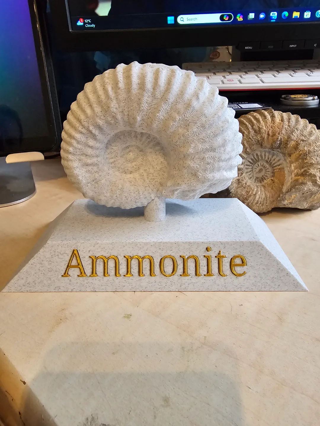 Fossile scanné en 3D (ammonite)