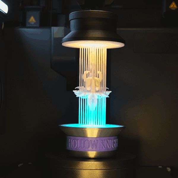 https://makerworld.bblmw.com/makerworld/model/USf814b979d5734f/design/2025-07-12_9fa07c148da978.gif