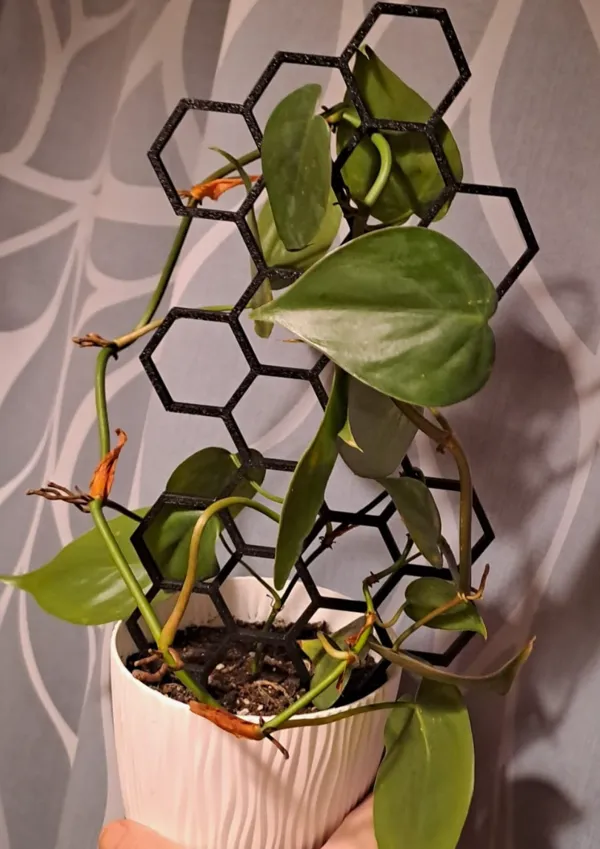 https://makerworld.bblmw.com/makerworld/model/USf8170705799499/design/2024-10-08_6df96be485806.jpg