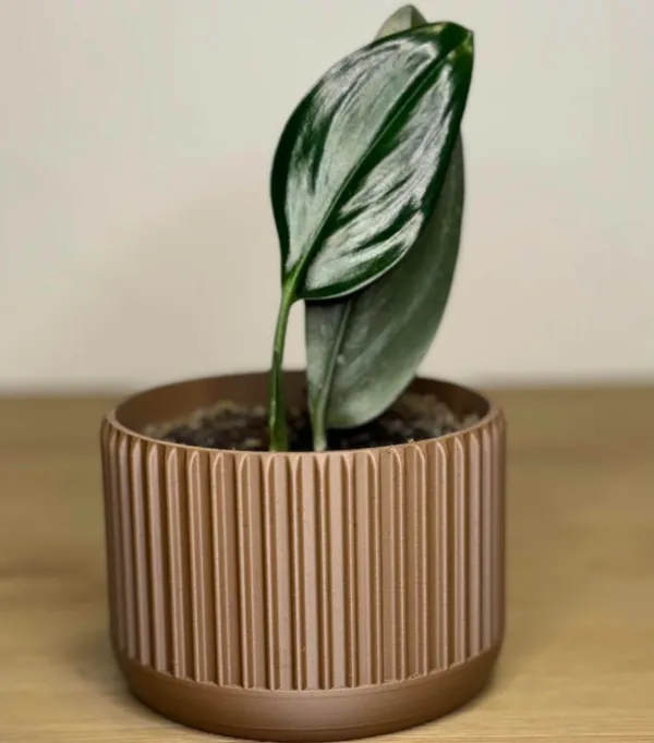 https://makerworld.bblmw.com/makerworld/model/USf81f965a4894ae/design/2024-05-16_1c27a7638902e.jpeg