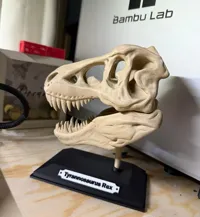 Crâne de T-Rex — photo 3