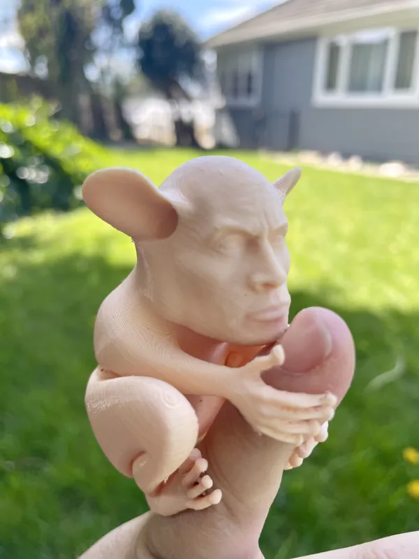 https://makerworld.bblmw.com/makerworld/model/USf8242dd286f6b/design/2023-08-28_24q0sn4c3bo6.jpeg