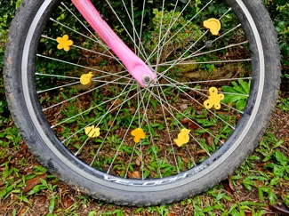 Bicycle spoke clips (Spring theme)