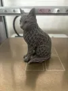 Mystic Cat Sculpture normal size