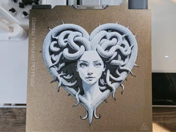 https://makerworld.bblmw.com/makerworld/model/USf82ea0f3a9d0f7/design/2024-10-11_0d94da393629b.jpg